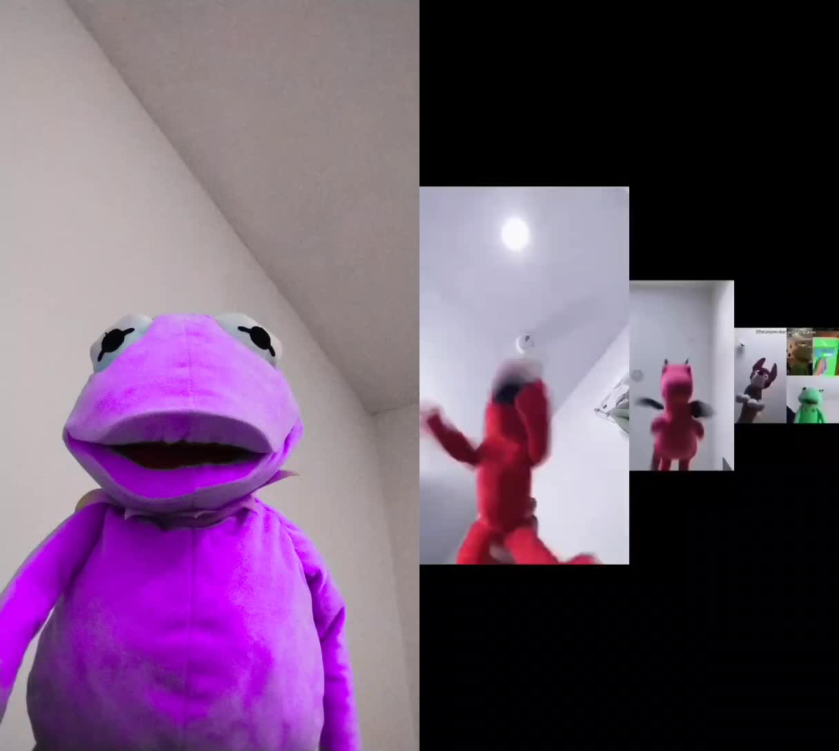 @Kermit The Frog Tiktok
