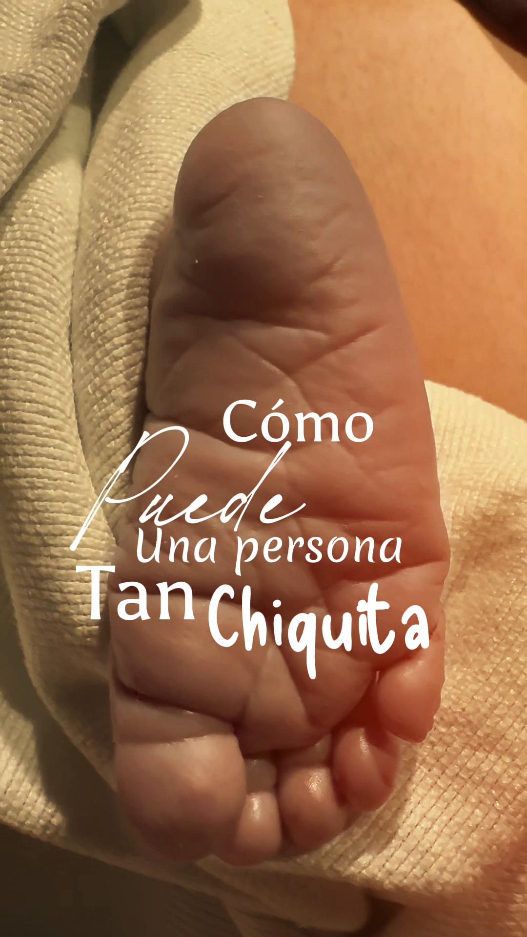 @Los Hernández