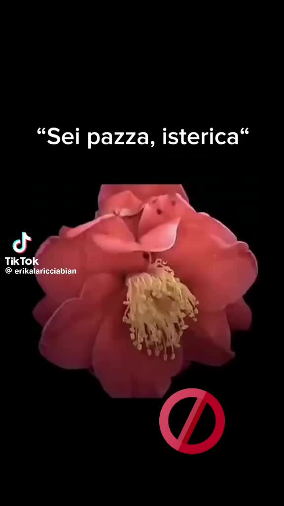 @Francesca Marrella