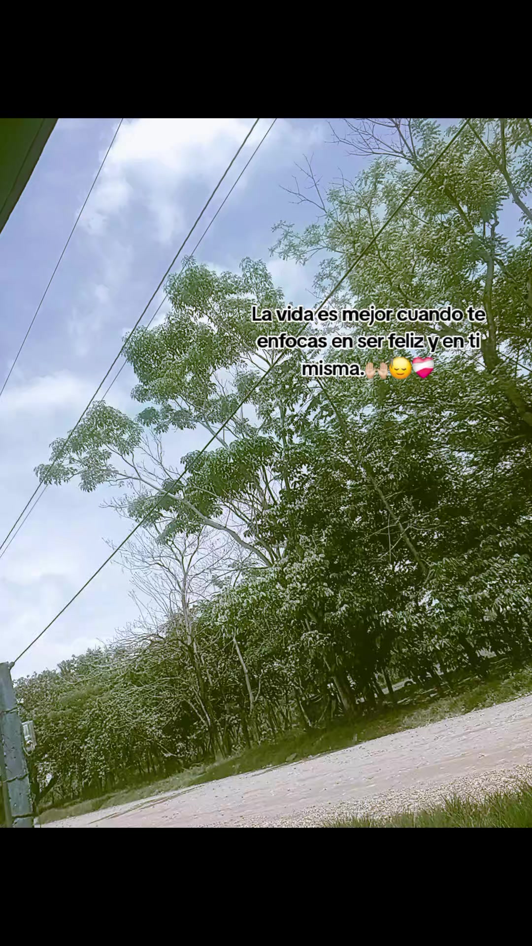 @Susana Gonz&aacute;lez🌬✨️