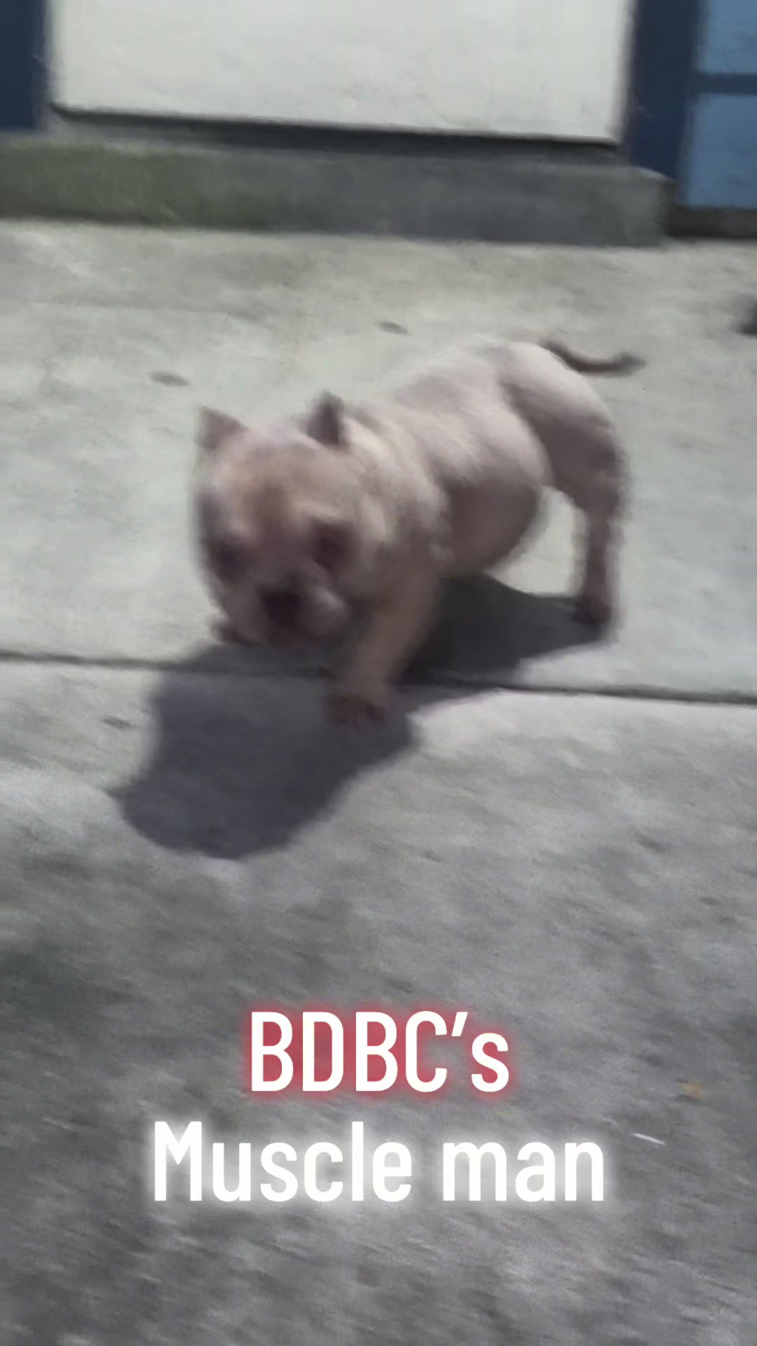 @David Robledo436