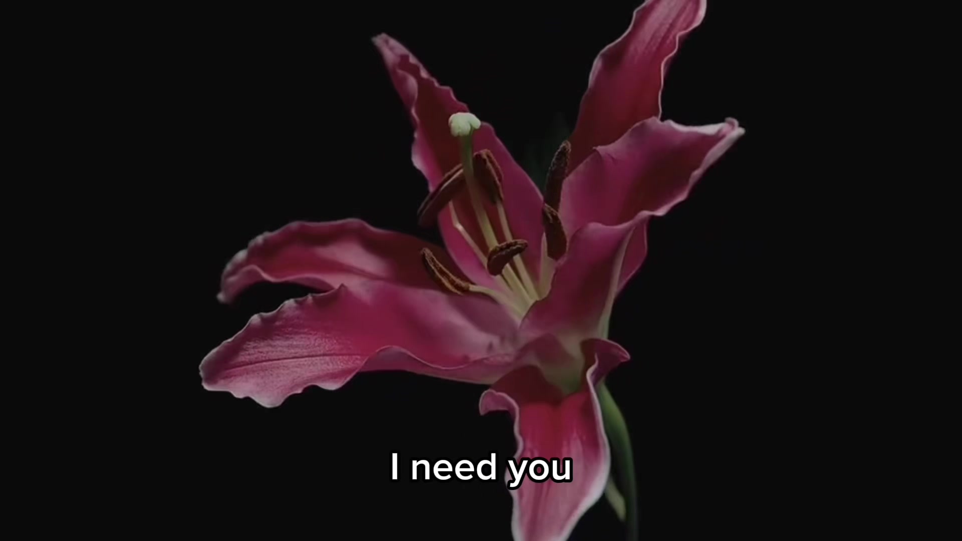 @music