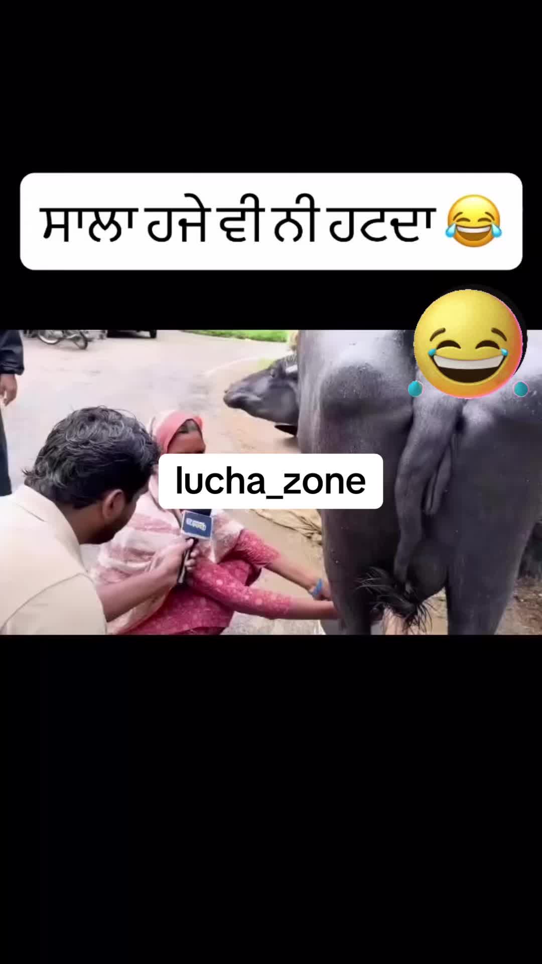 @LUCHAPLAYER