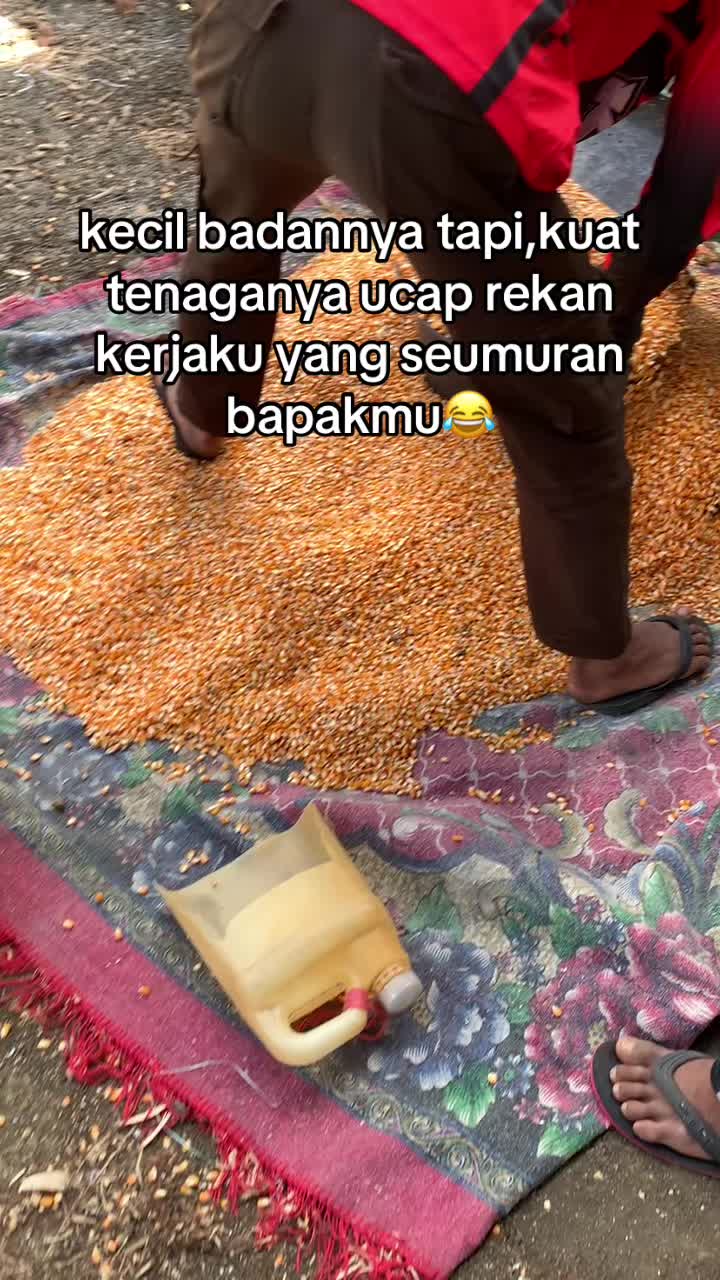 @labeccu_11