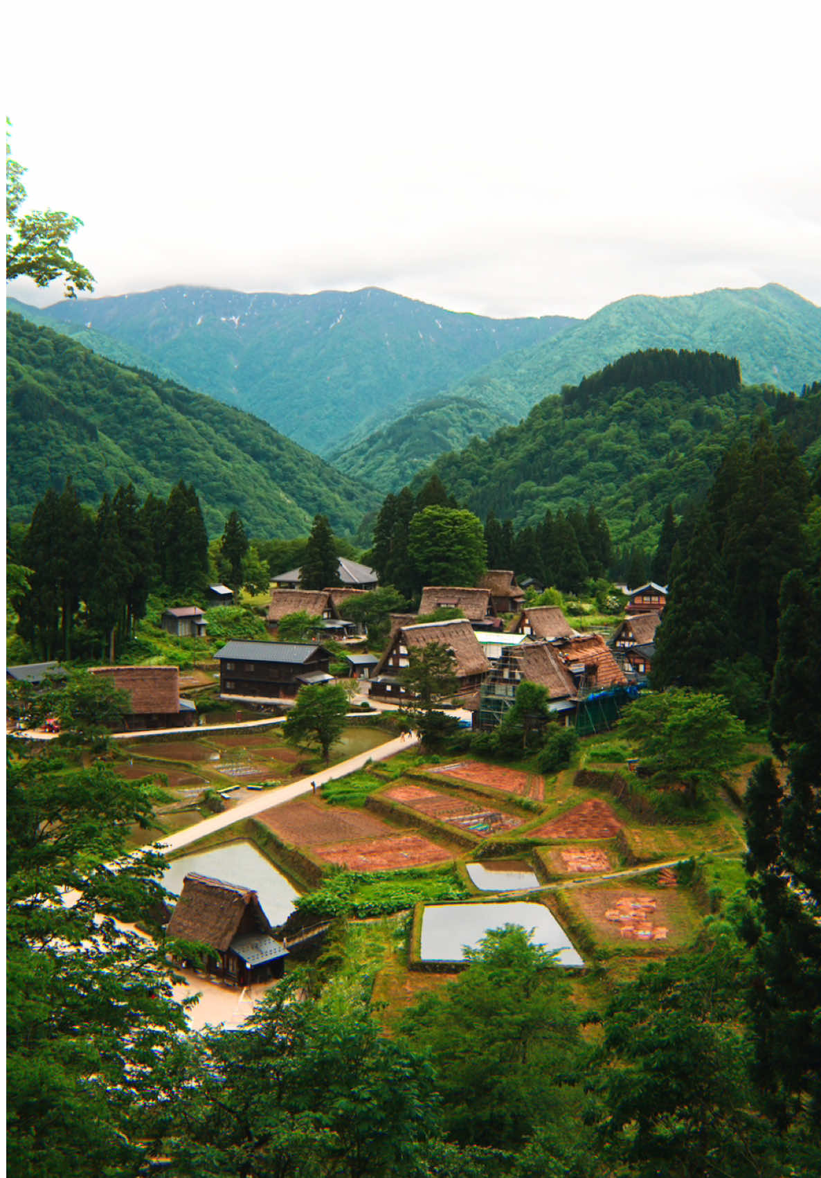 @Cotton | Japan Travel ð¯ðµ