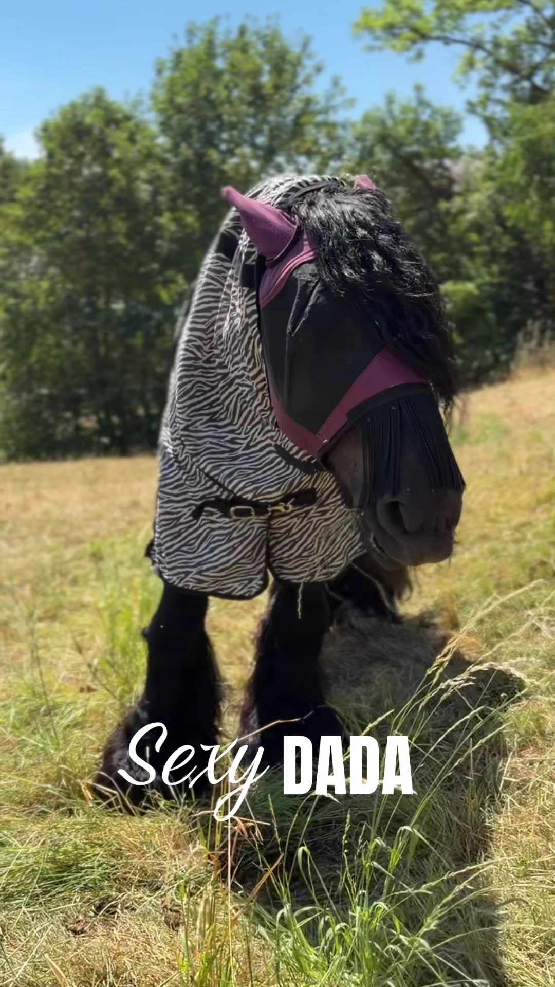 @Untraitdecheval