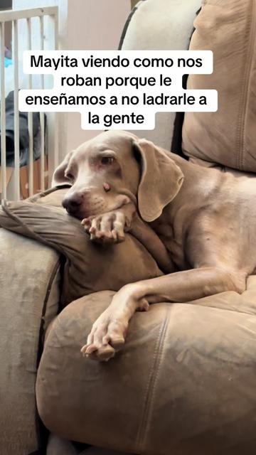 @sandra