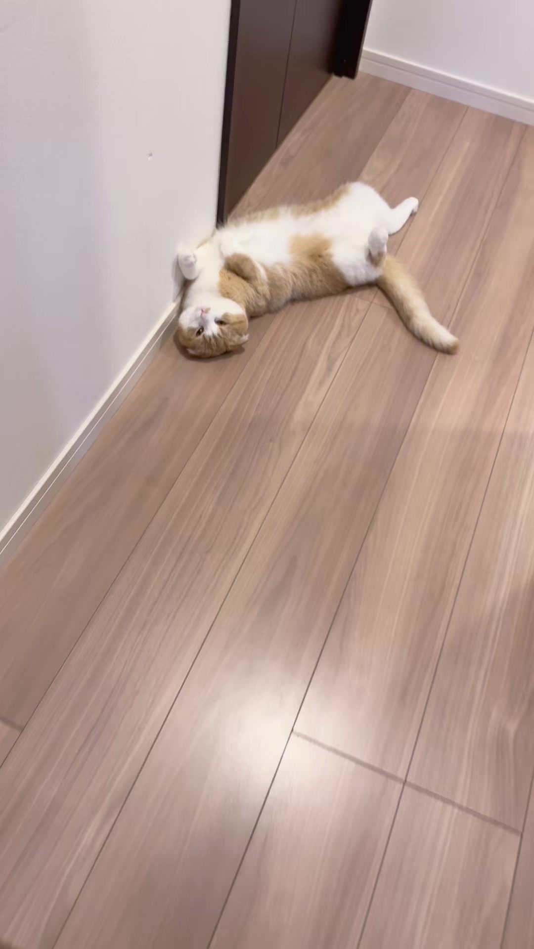 @マロン