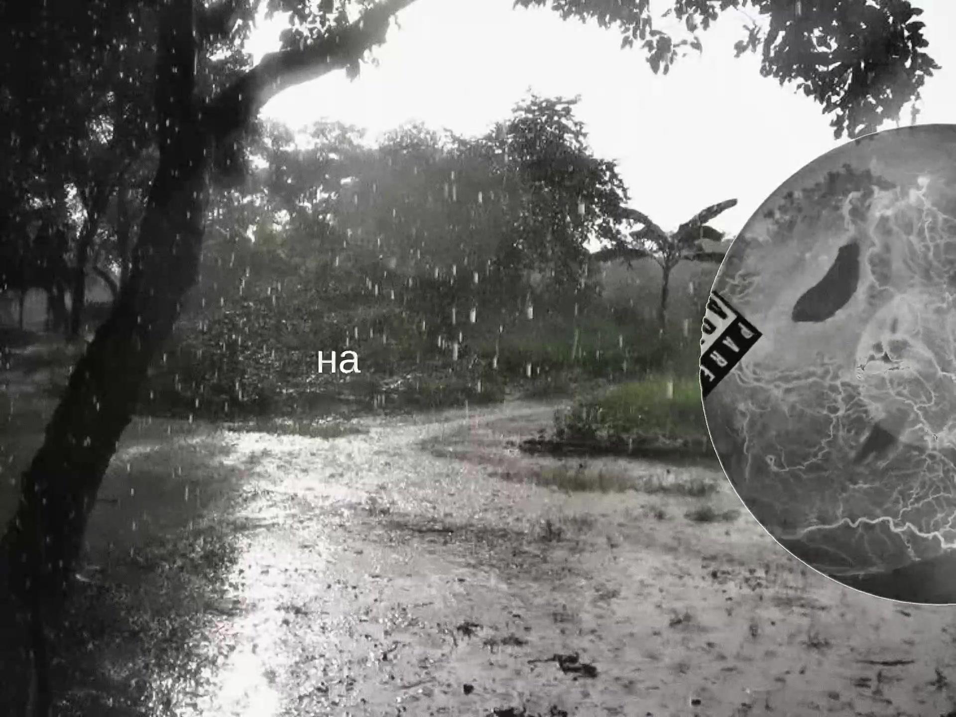 @𝓜𝓮𝓵𝓴𝓸𝓽𝓷𝔂𝓪