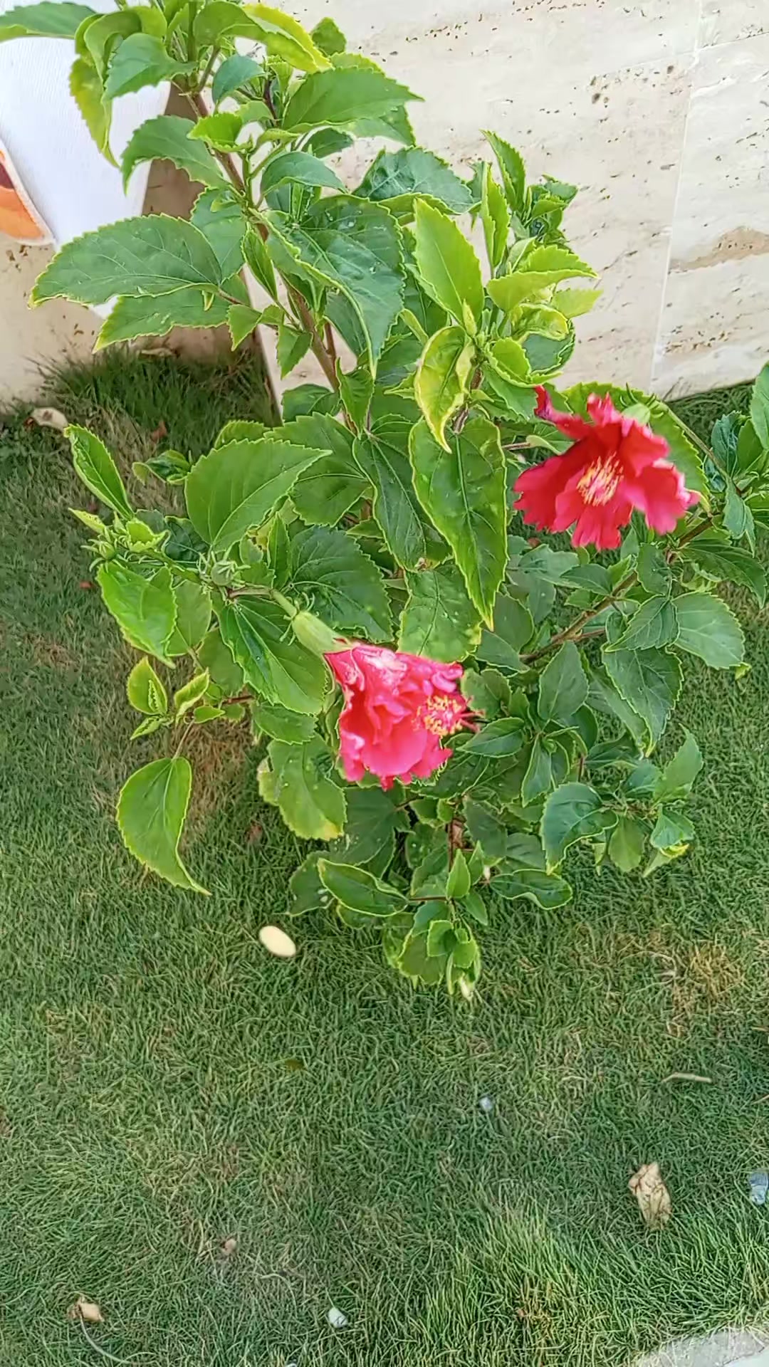 @ঘুমন্ত শহর
