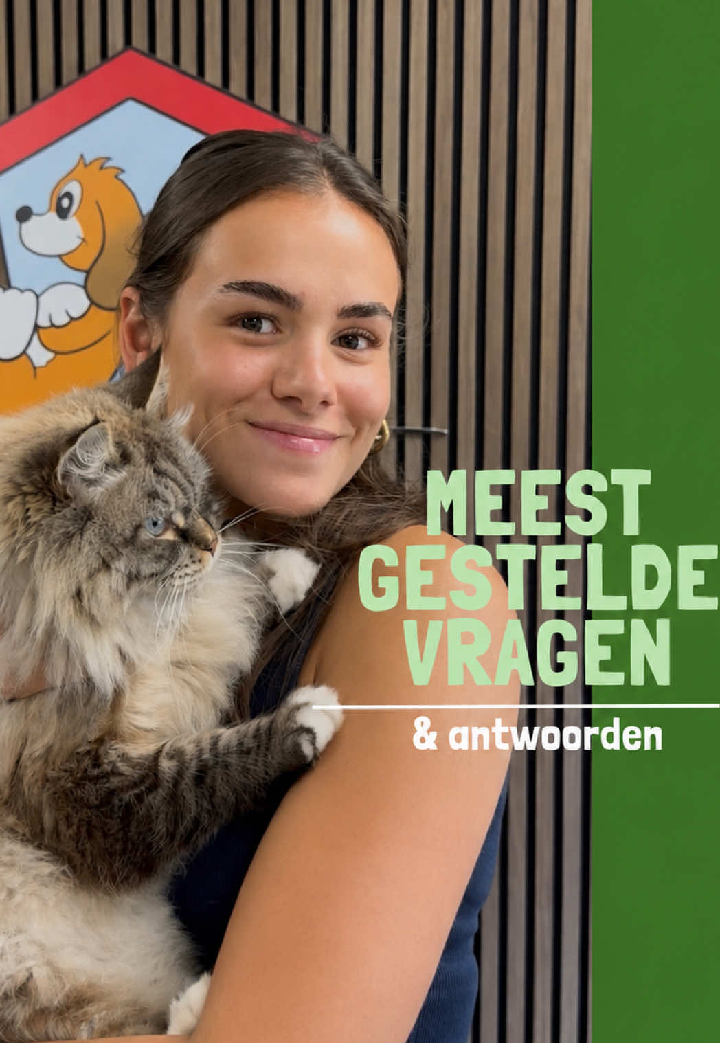 @HuisdierenhotelDeHeggeWeert