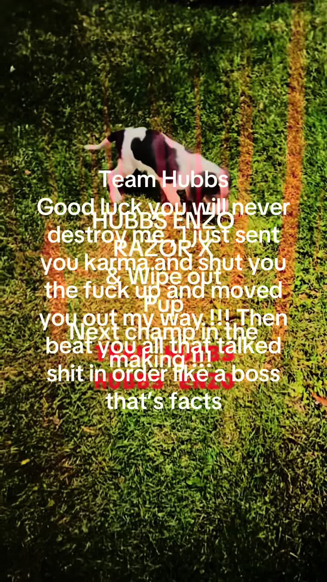 @DAN