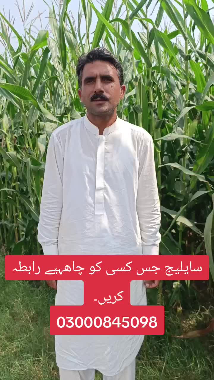 @Pakistan Kisan T.V