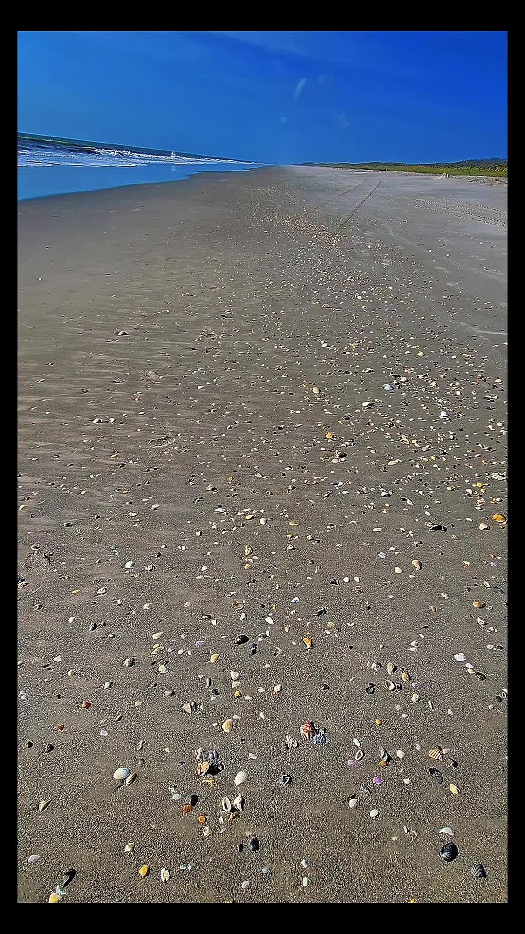 @justbeachy