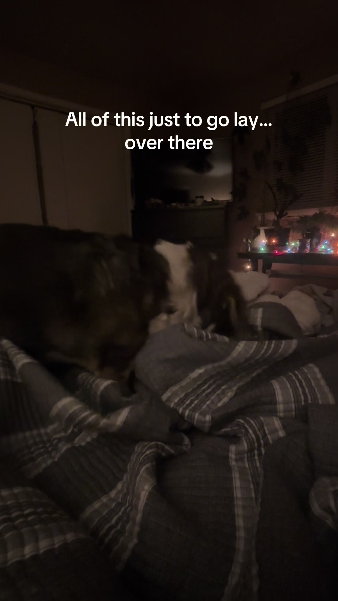 @KillerCowboyConway