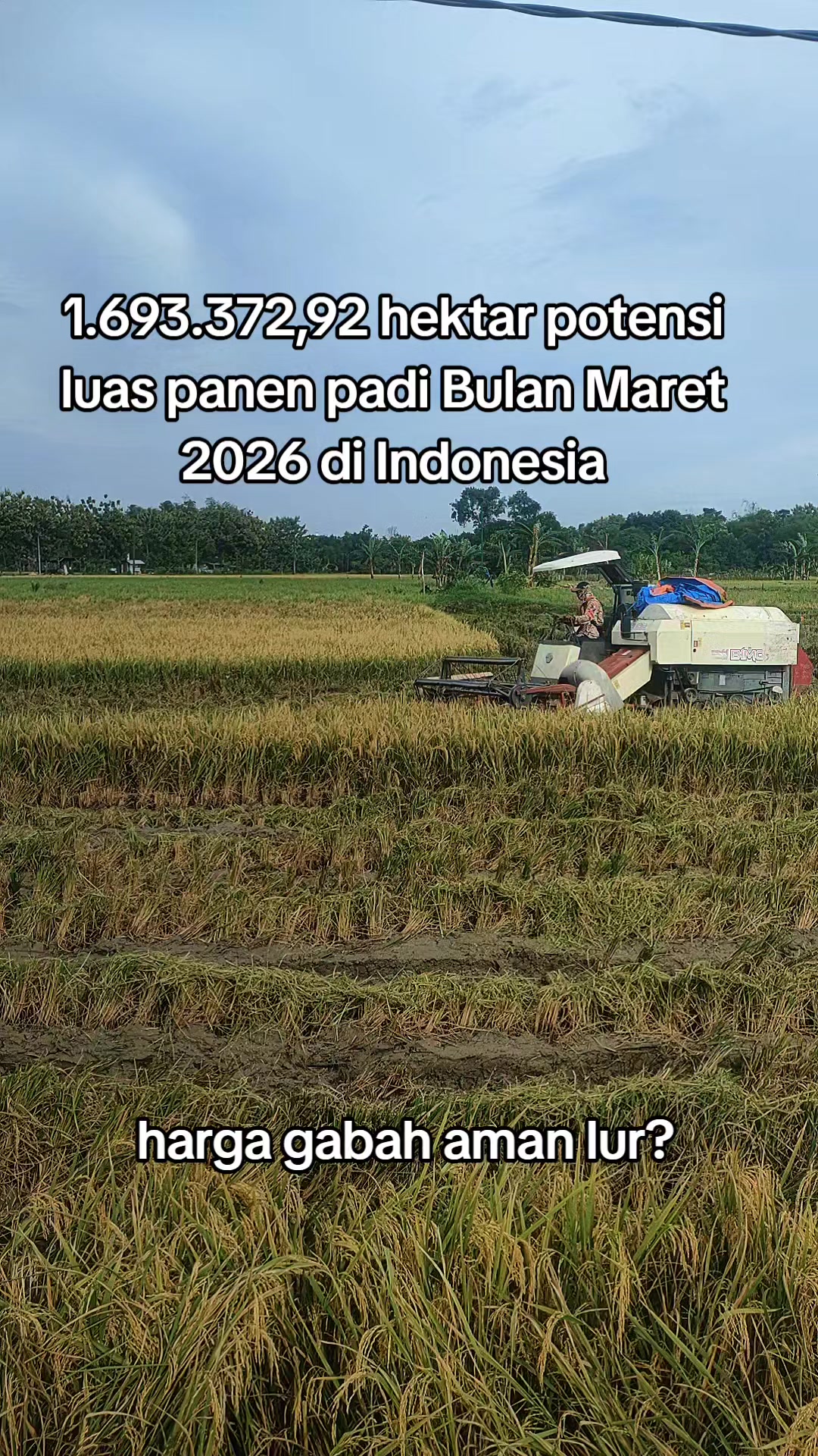 @ahmad mundir