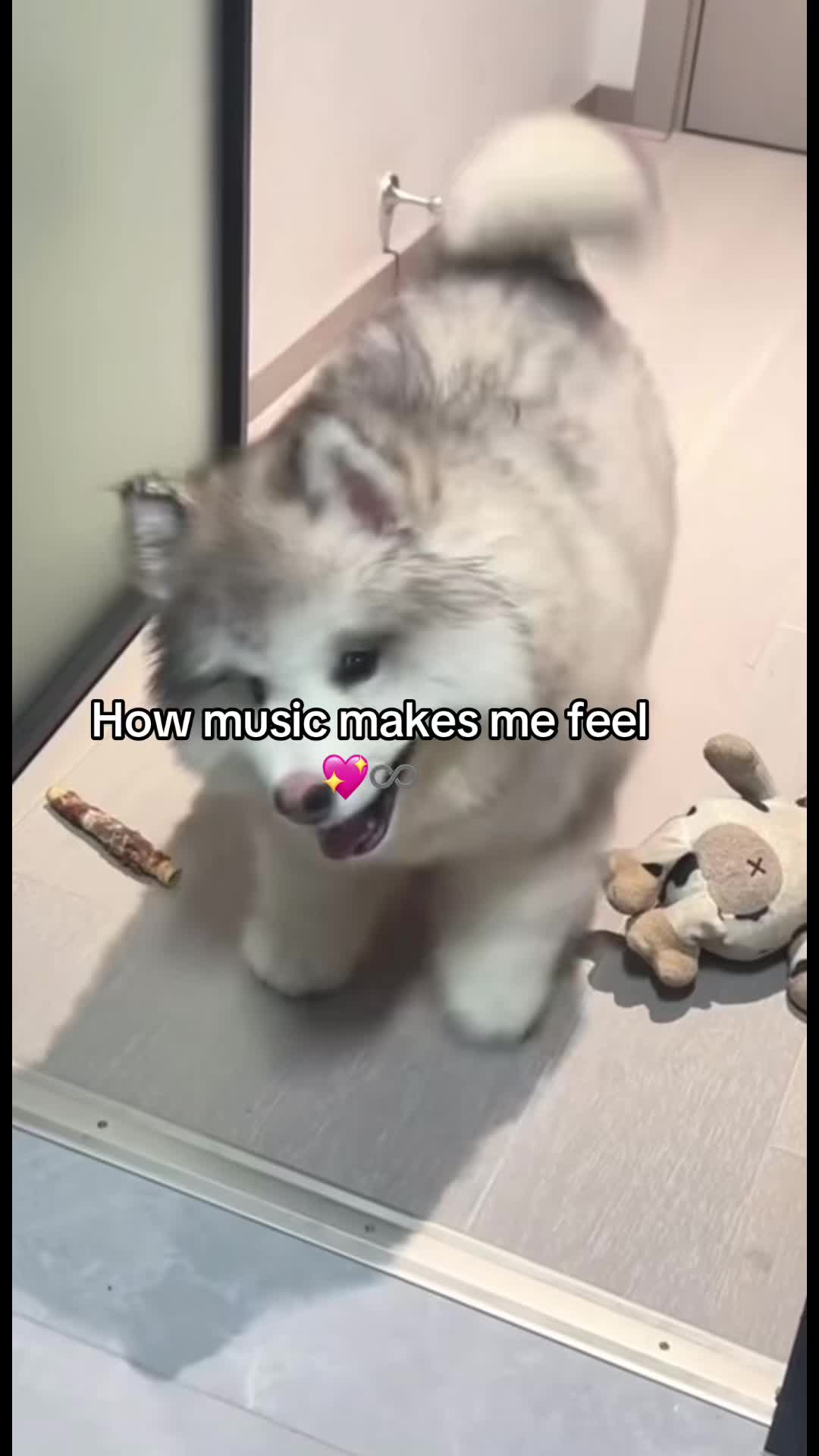 @donsmokeyy