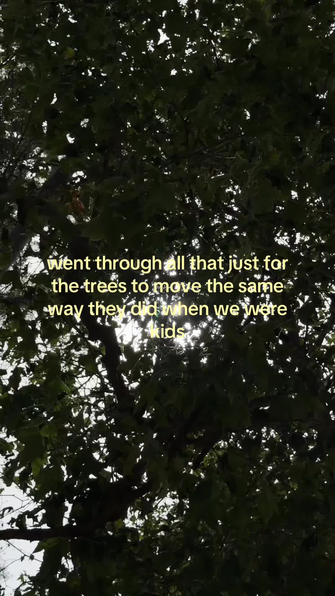 @tay ⋆⭒˚.⋆