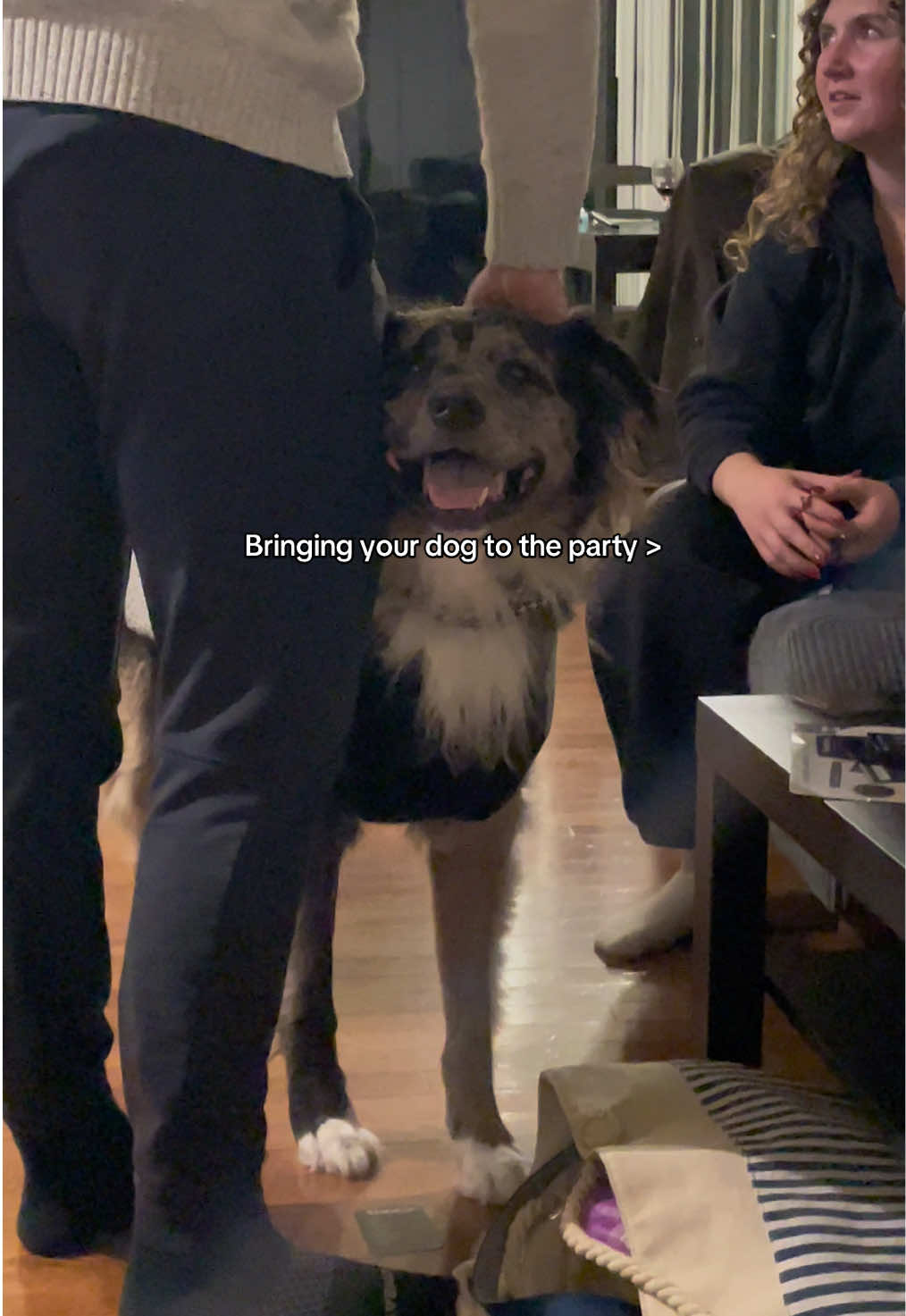 @THE LIFE OF KODA