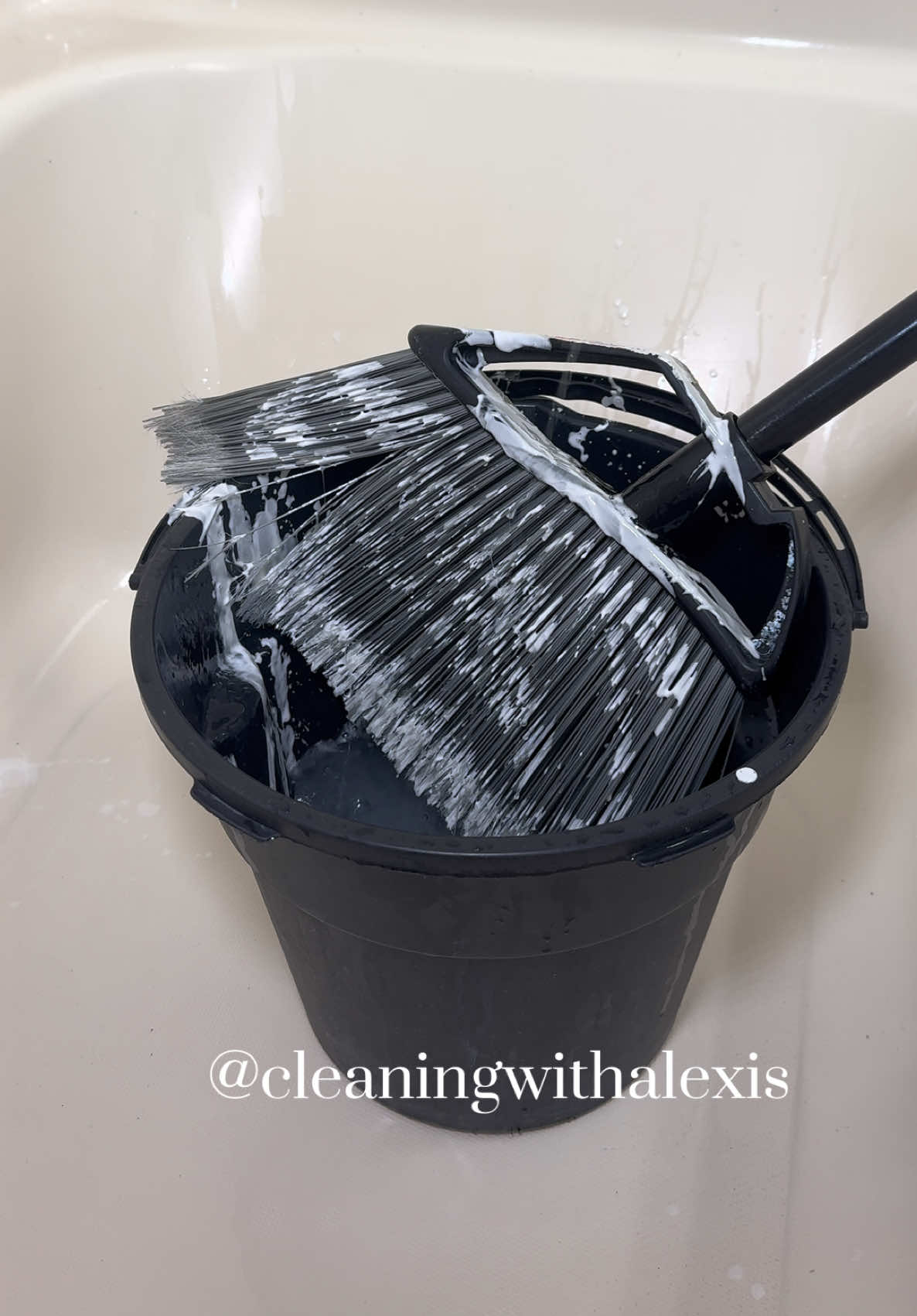 @AlexisCleanASMR