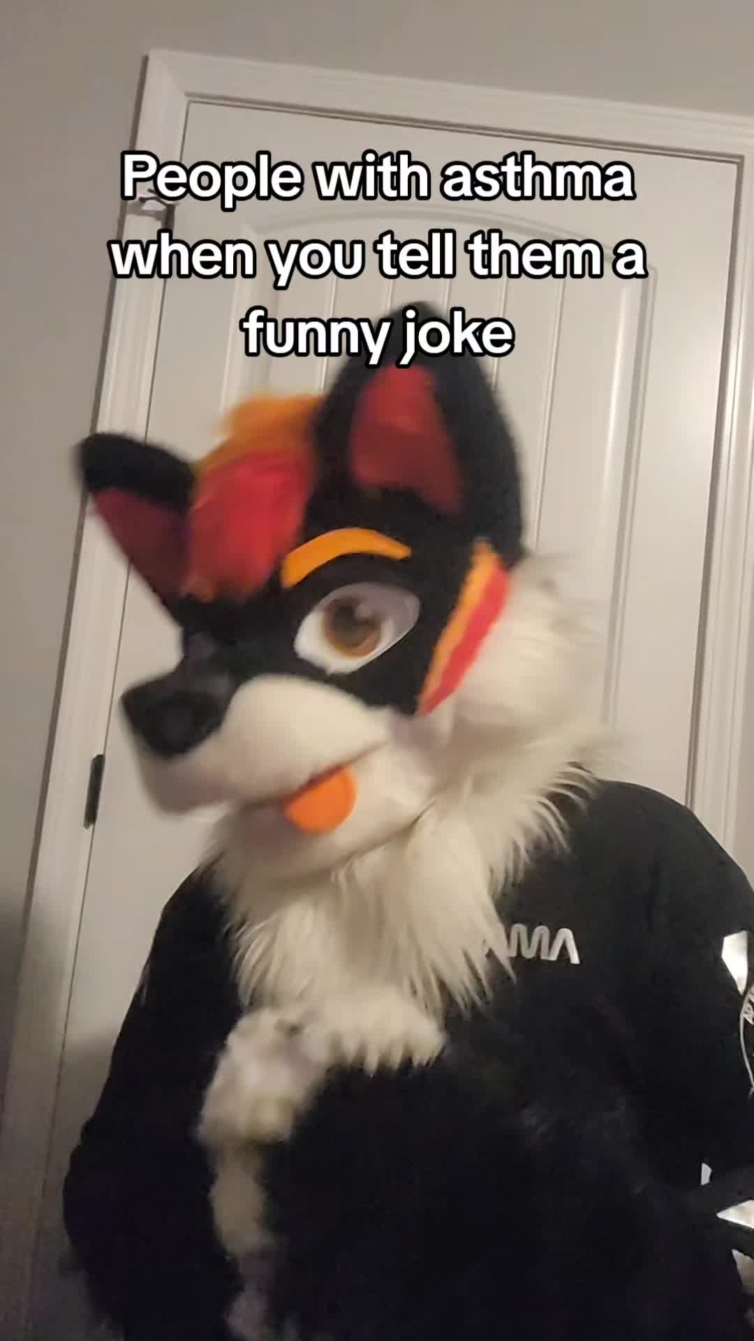 @Luco Foxxo