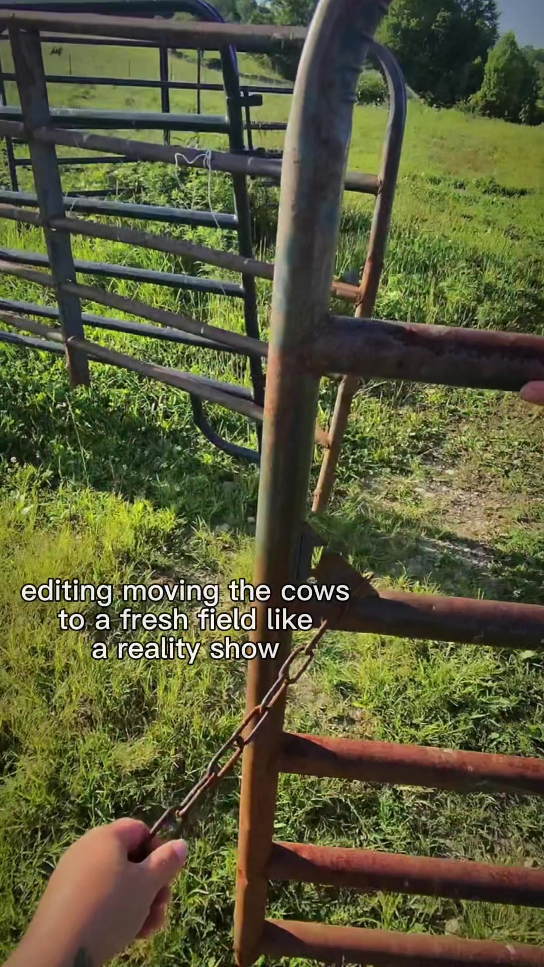 @Sami • LDH Farmstead