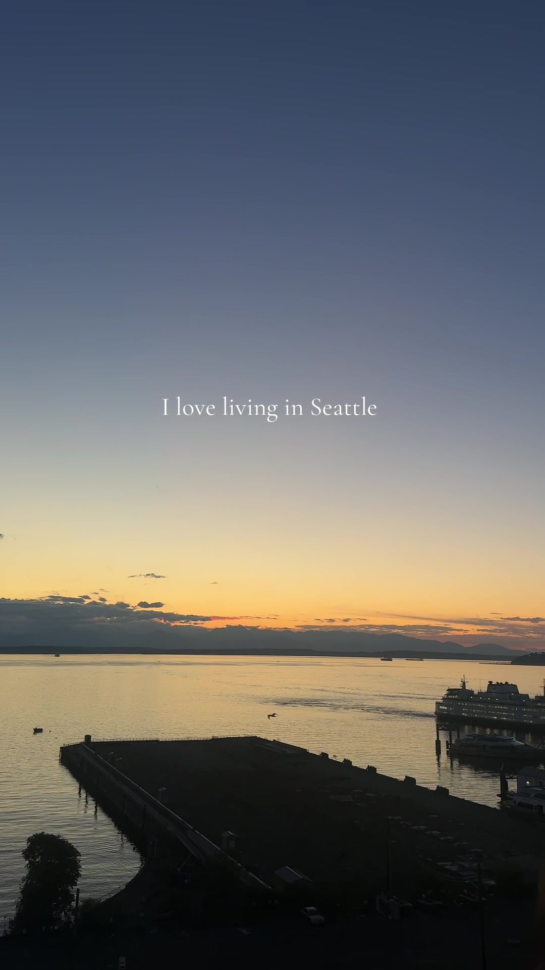 @bee 🐝 | seattle creator