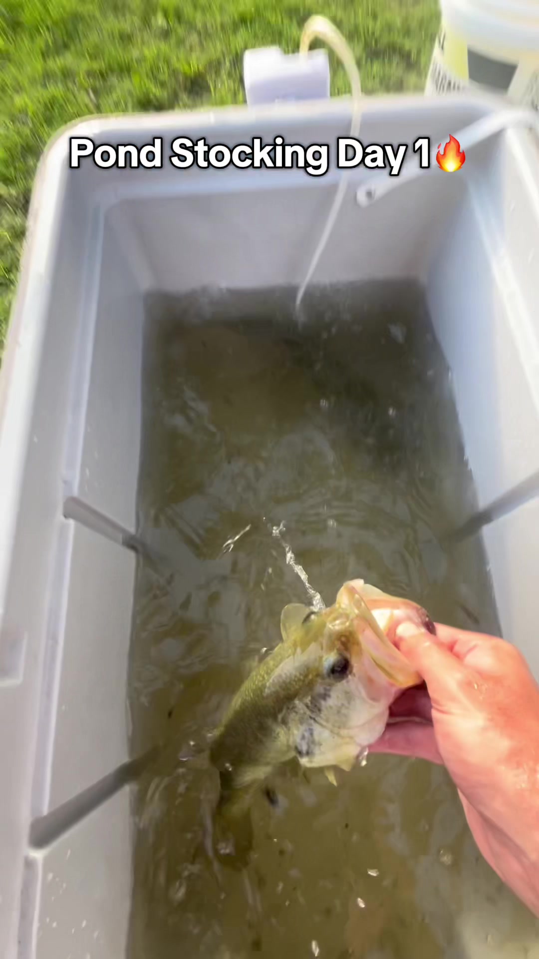 @Unemployed Fishing