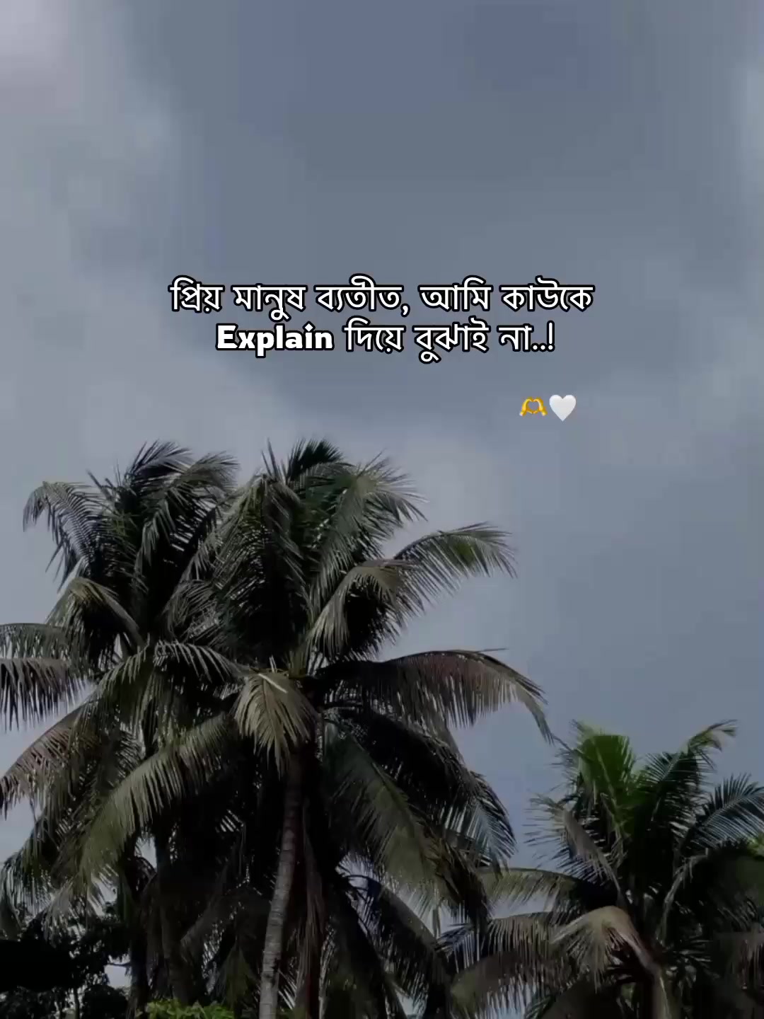 @⁷𝐇𝐚𝐦𝐢𝐝𝐚◡🧃