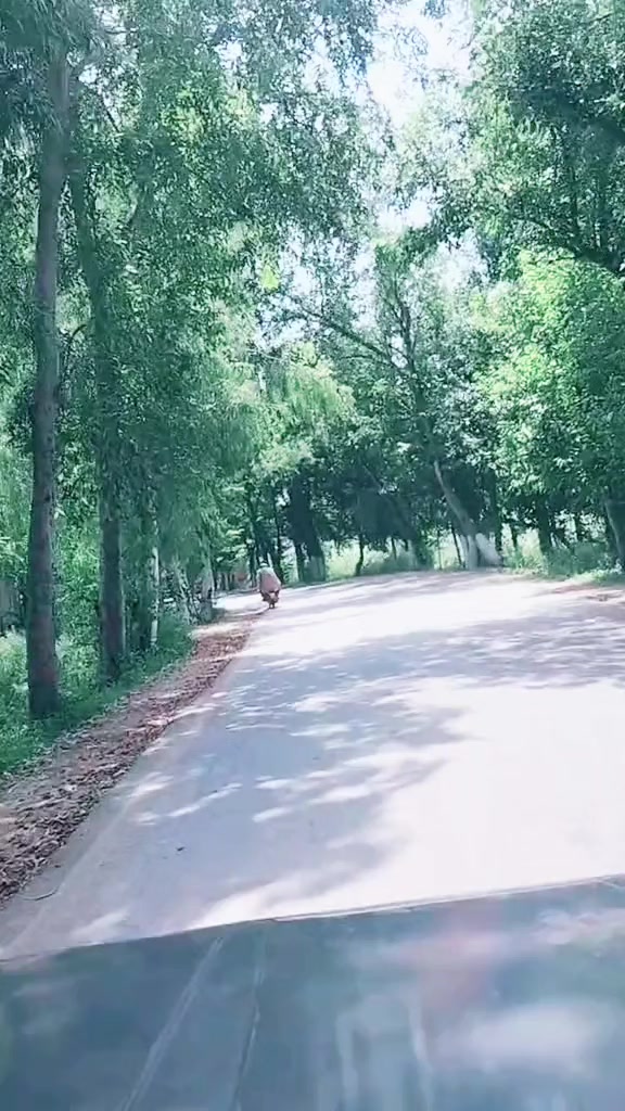 @L.kk