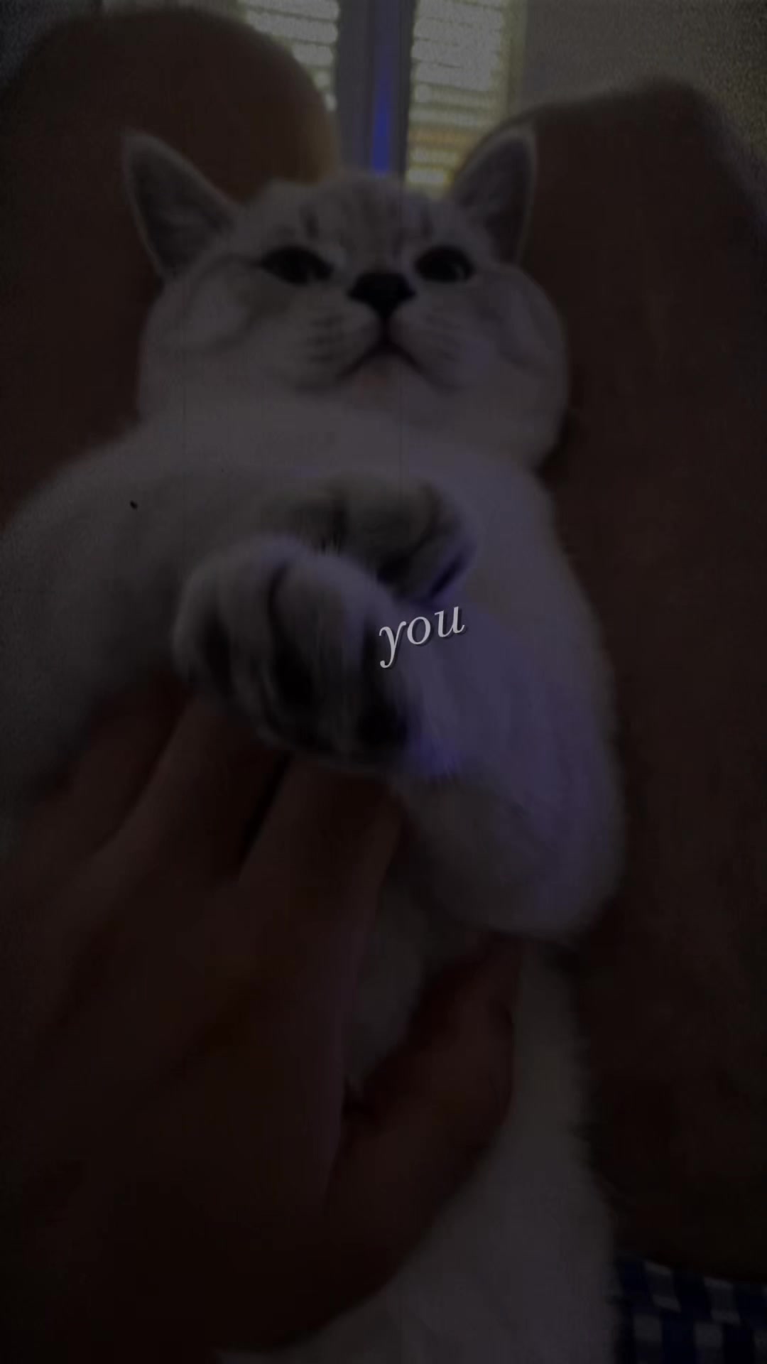 @Kitty & Coco