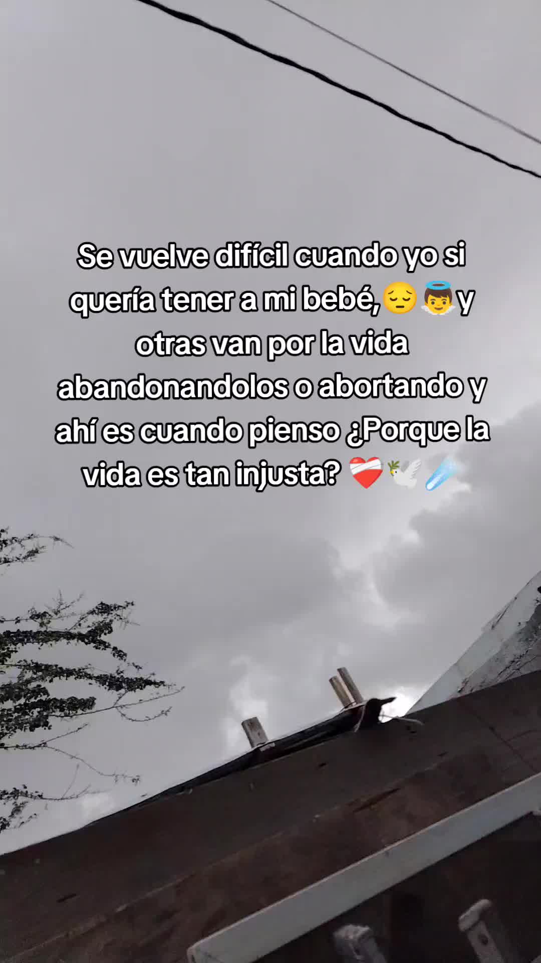 @IraysZamudio