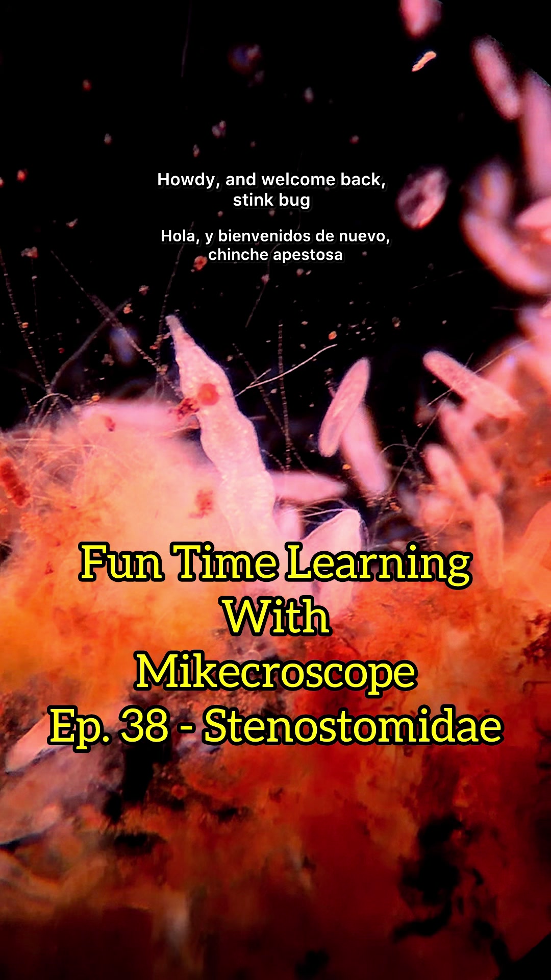 @Mikecroscope