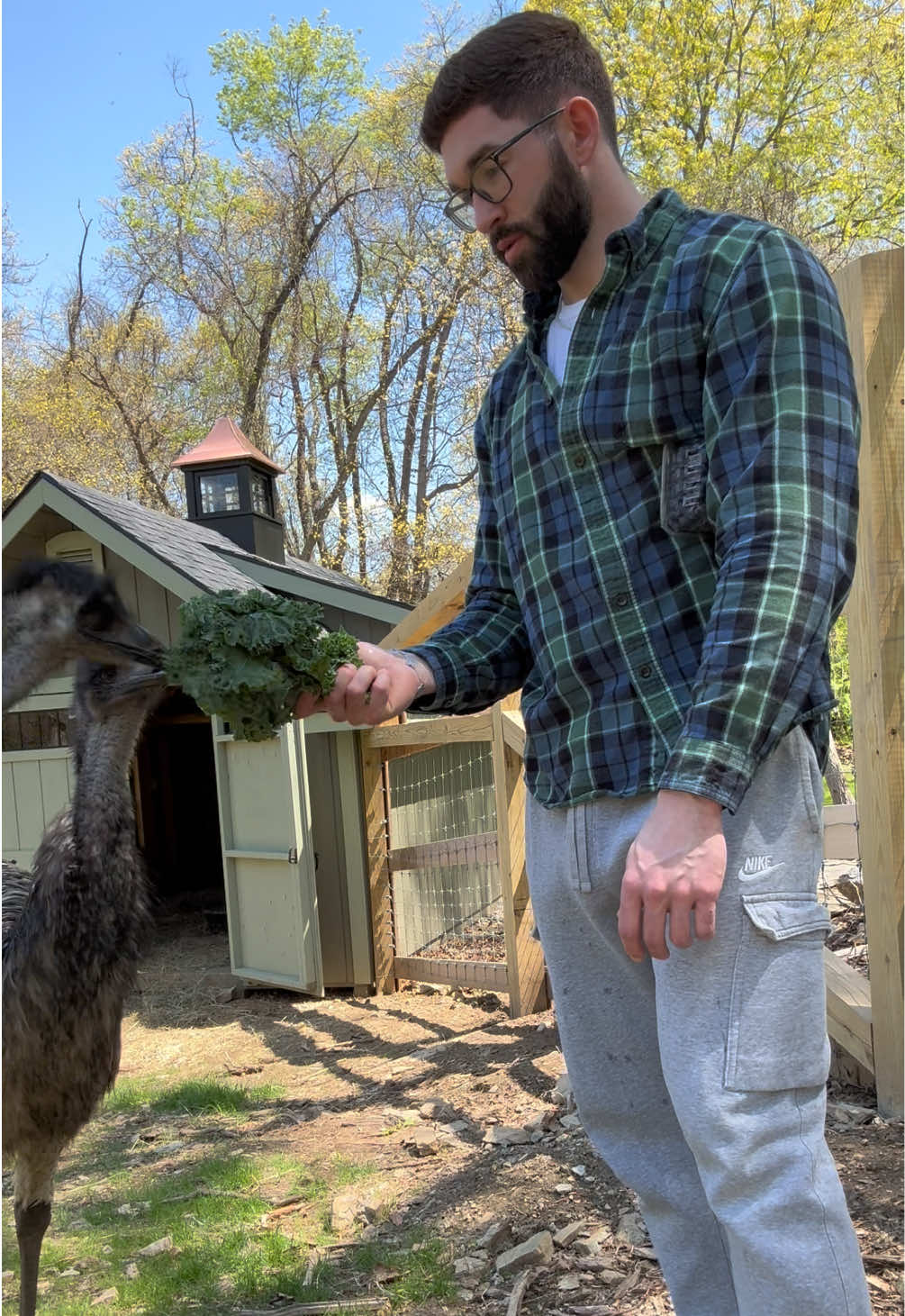 @fathenfarms