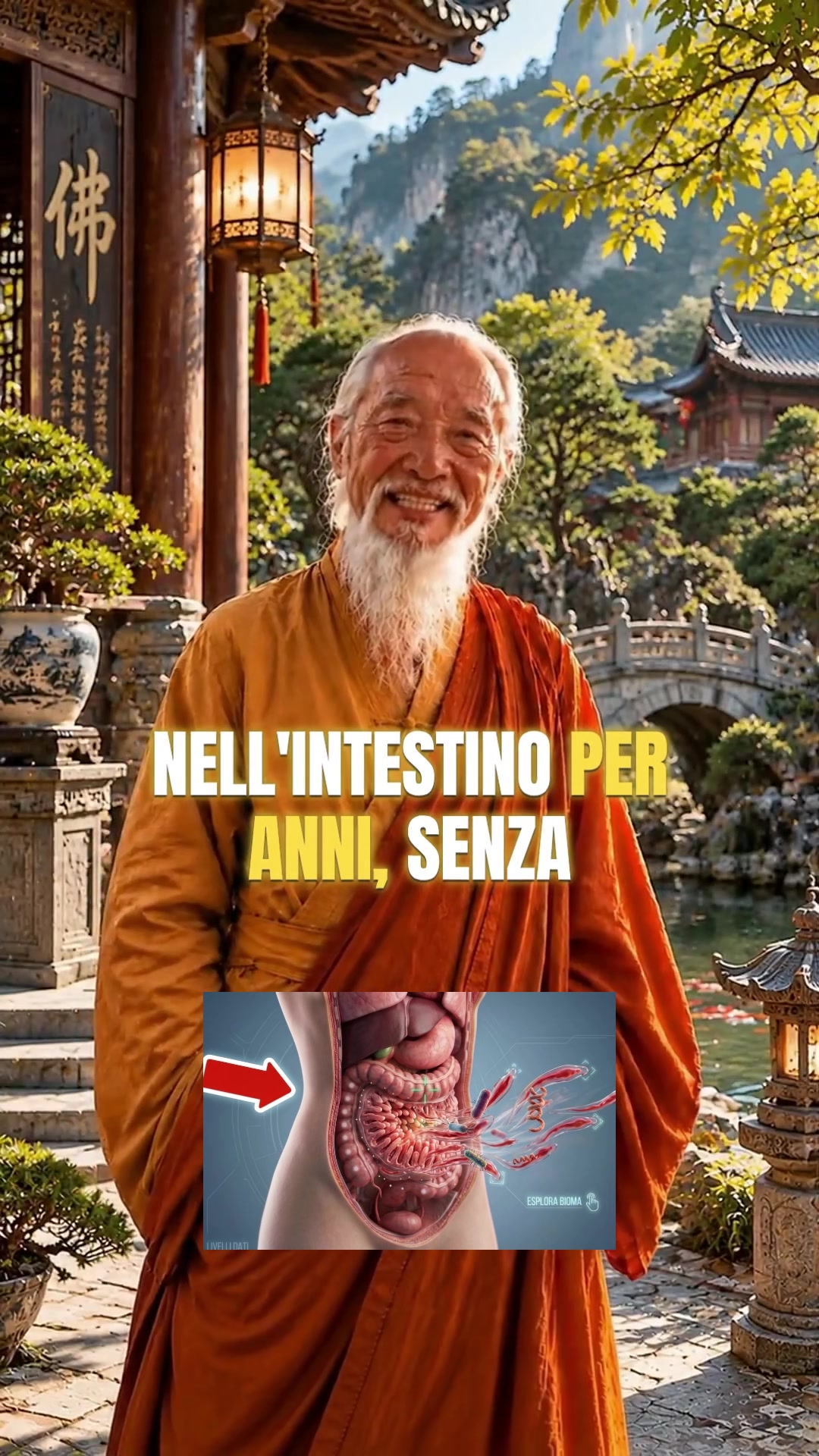 @Maestro Chan