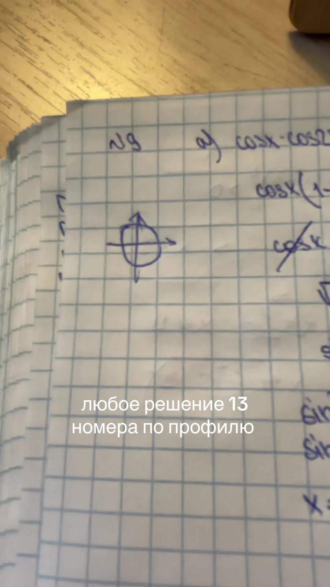 @викуся
