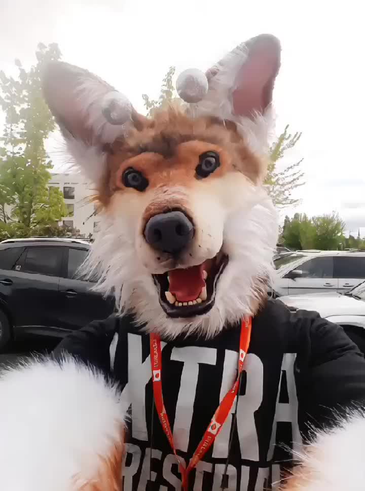 @SaltyFox