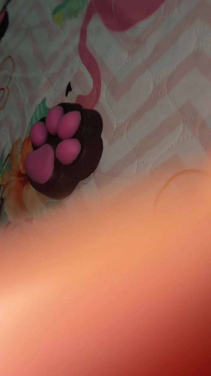 @𝓝𝓐𝓝𝓒𝓨 𝓒𝓗𝓘𝓒𝓒𝓐