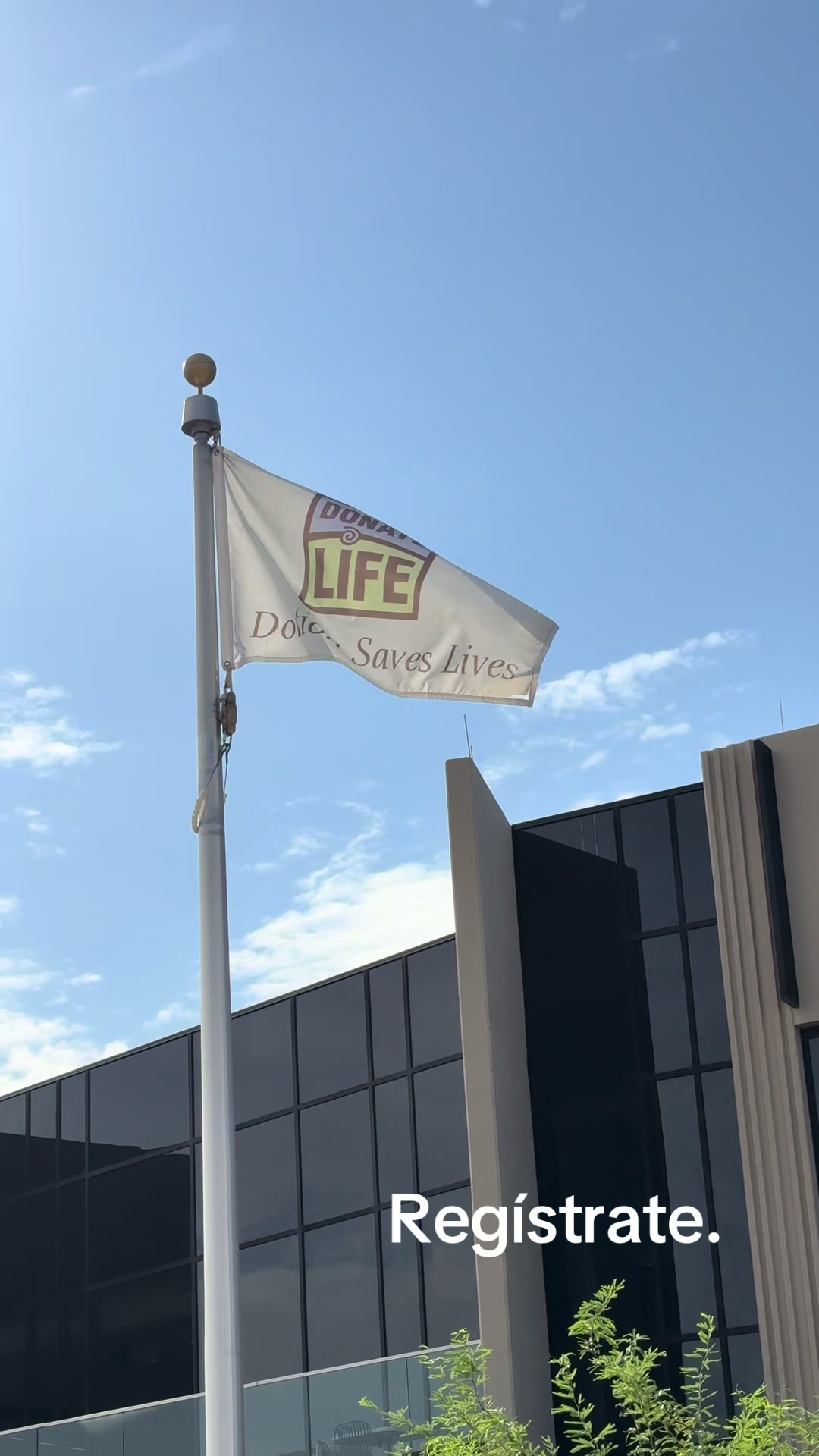 @Donate Life Arizona