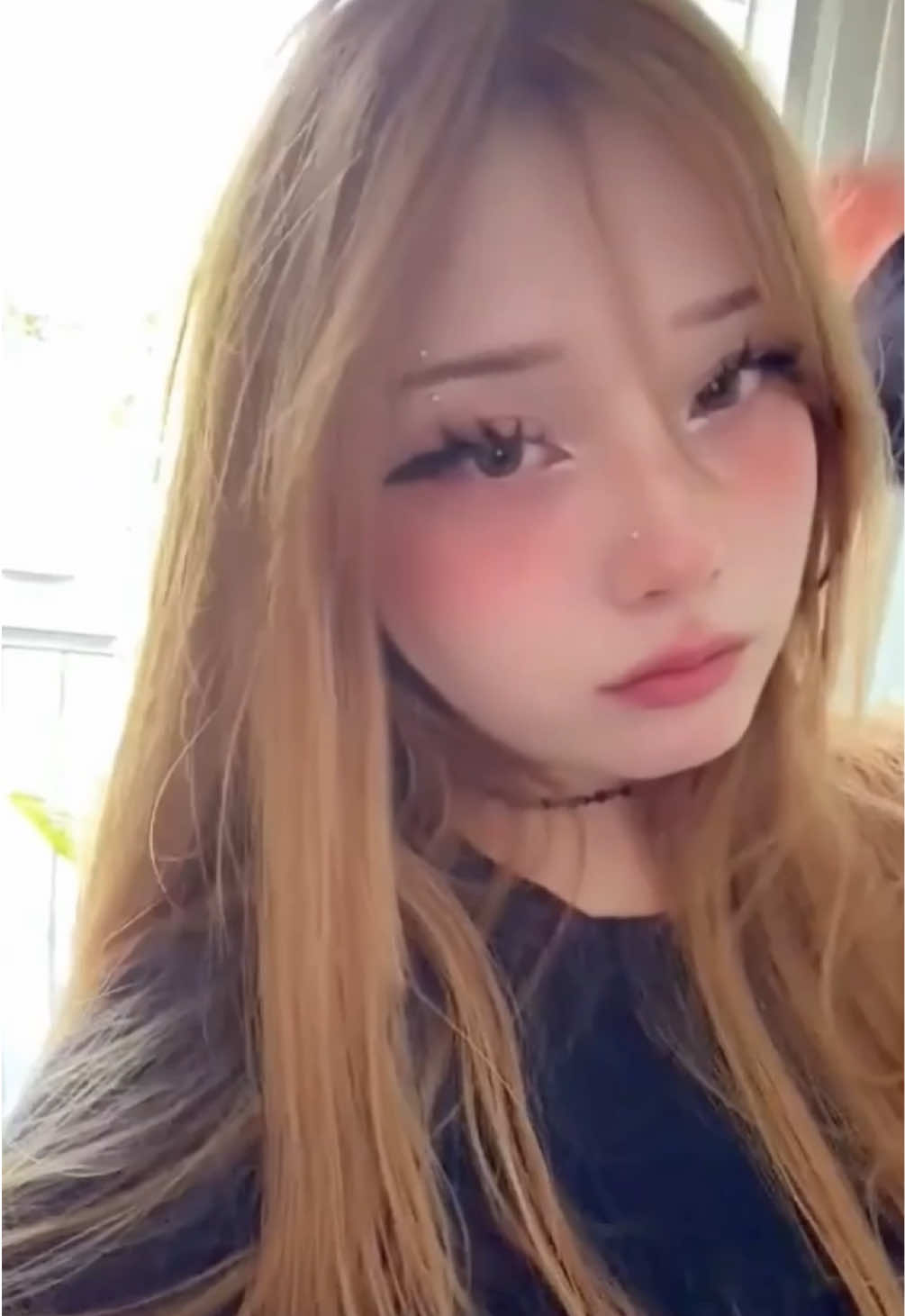 @Dio