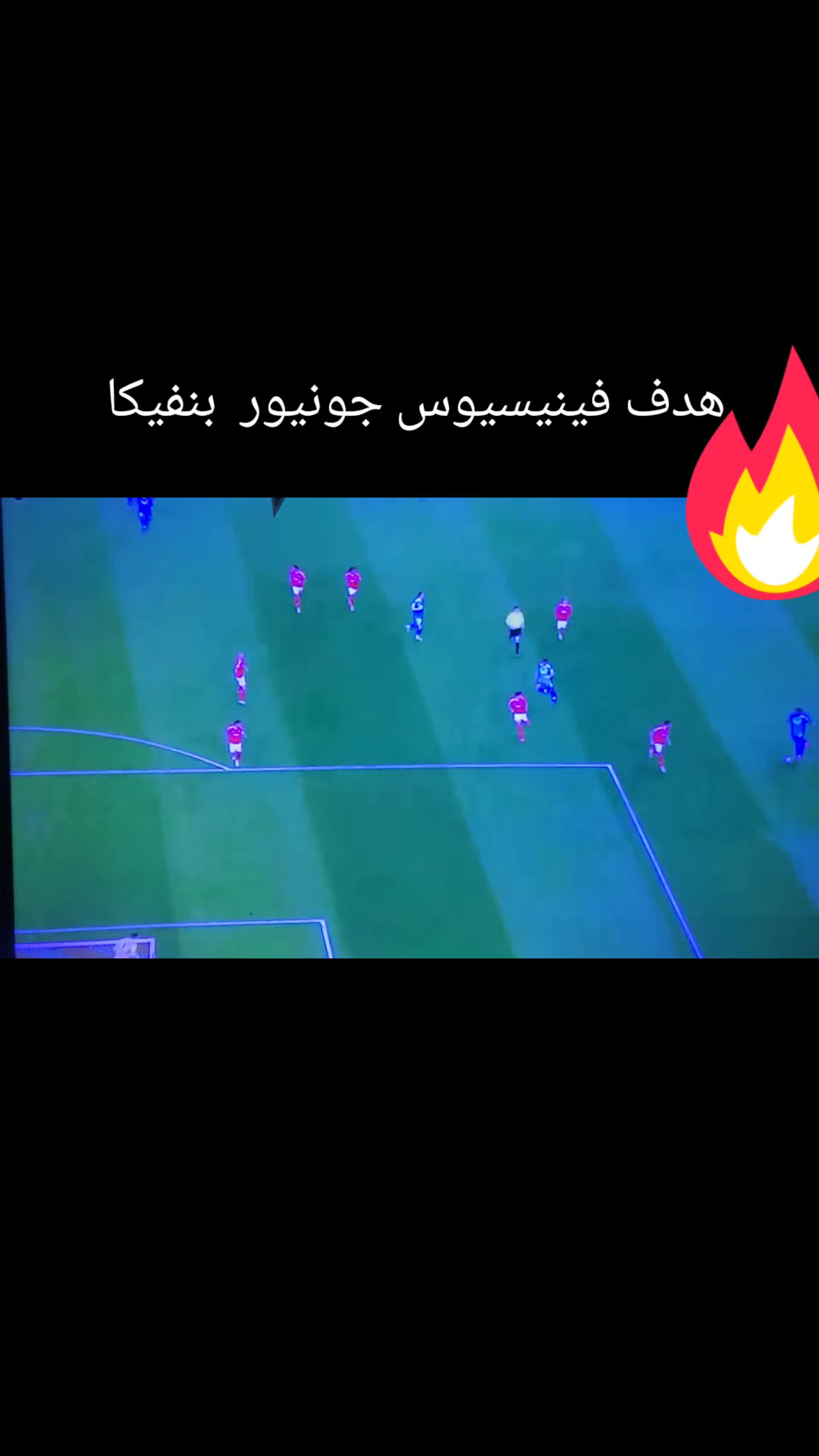 @محمود بدر
