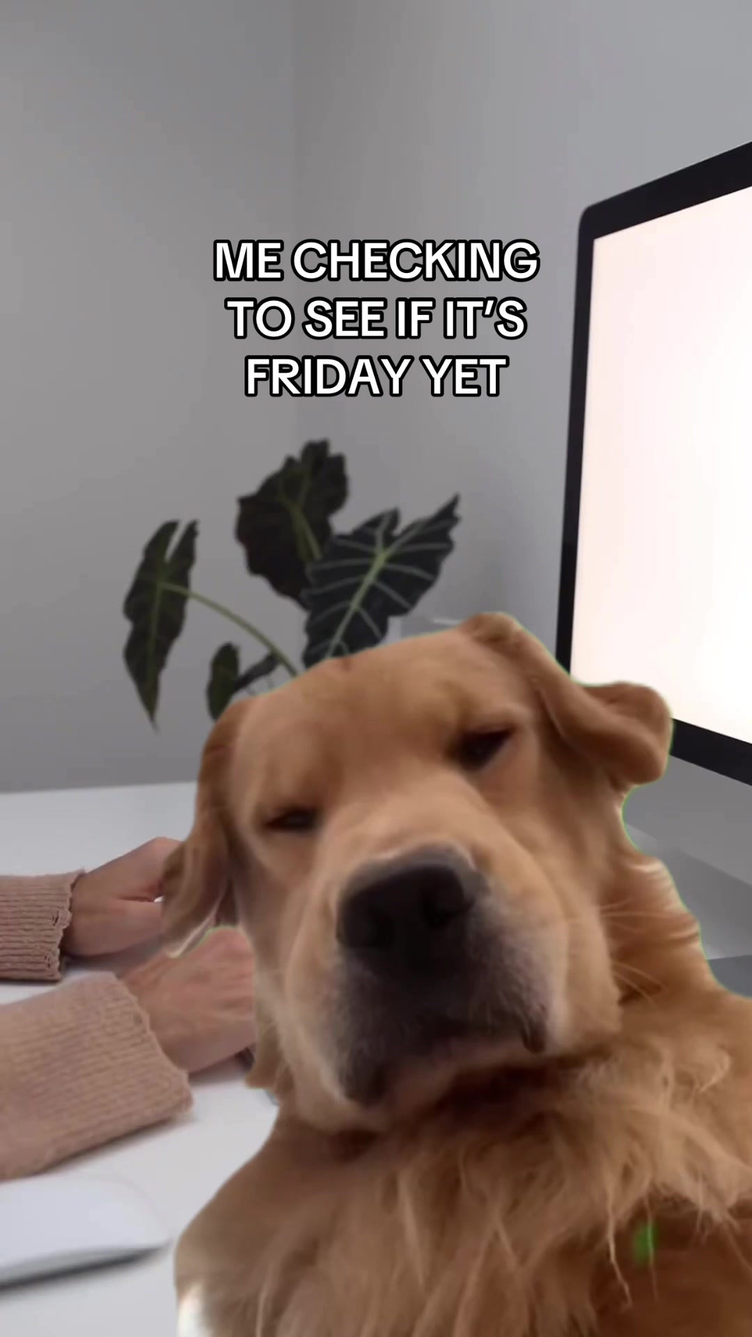 @corporateconfessional