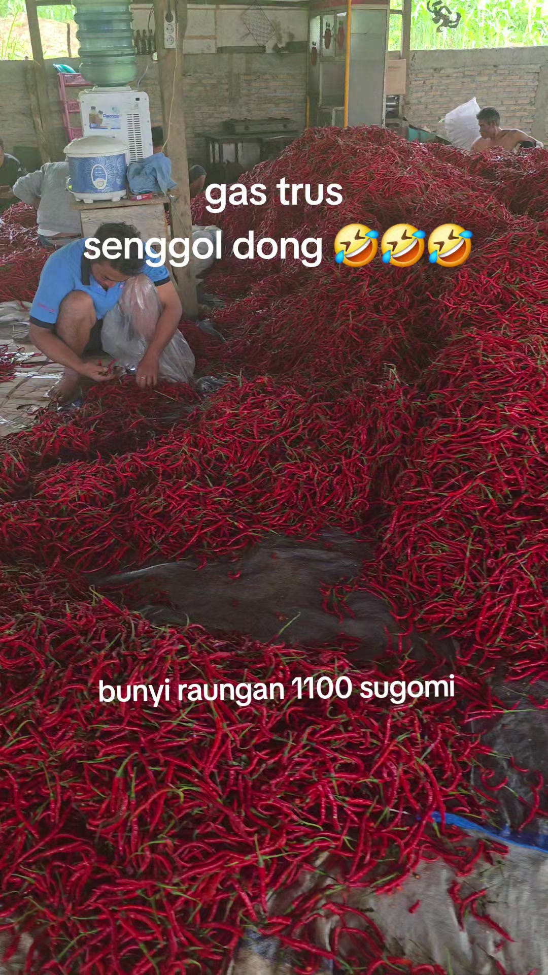 @manogi situmorang marguratak