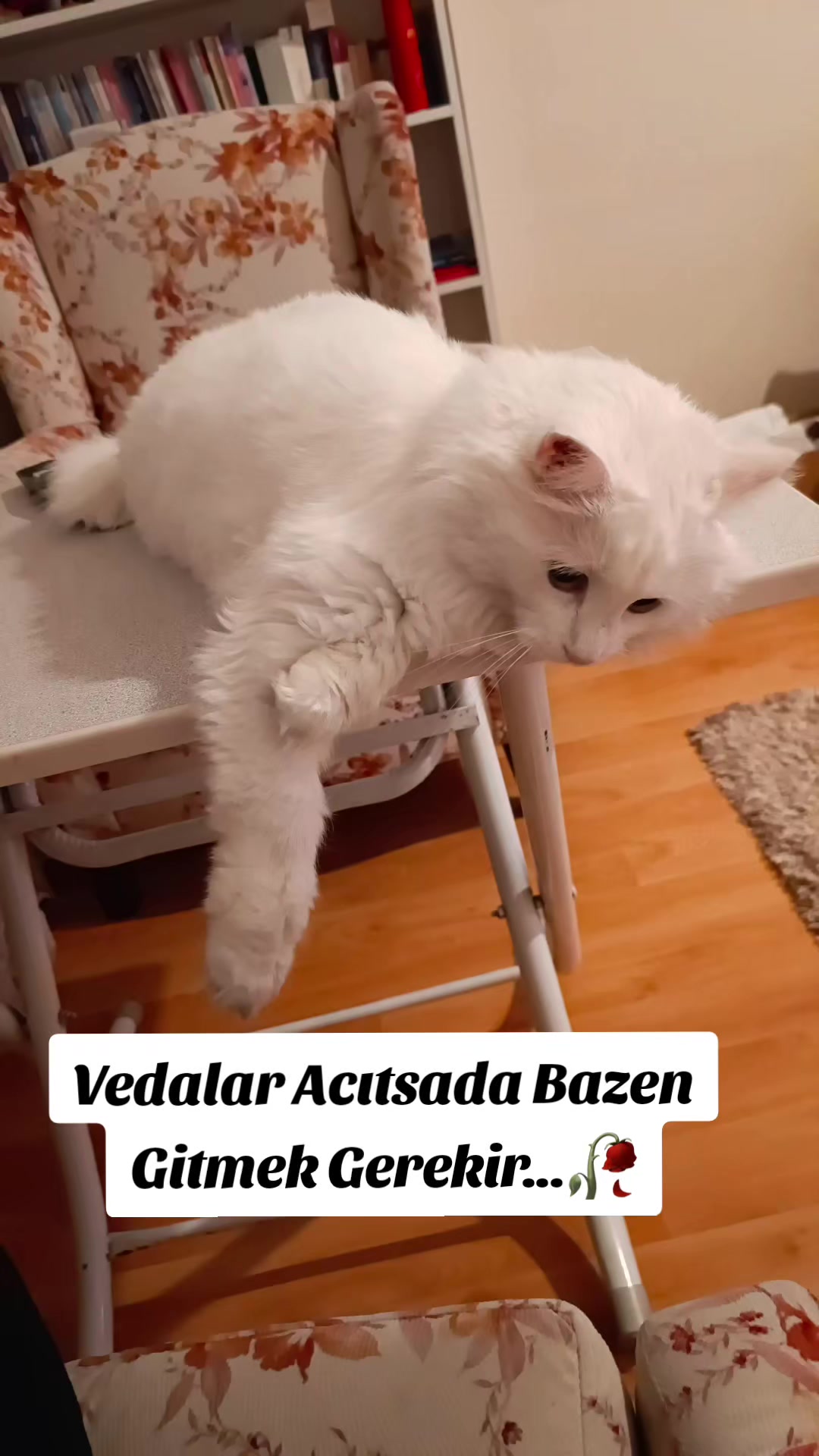 @MUSTAFA38