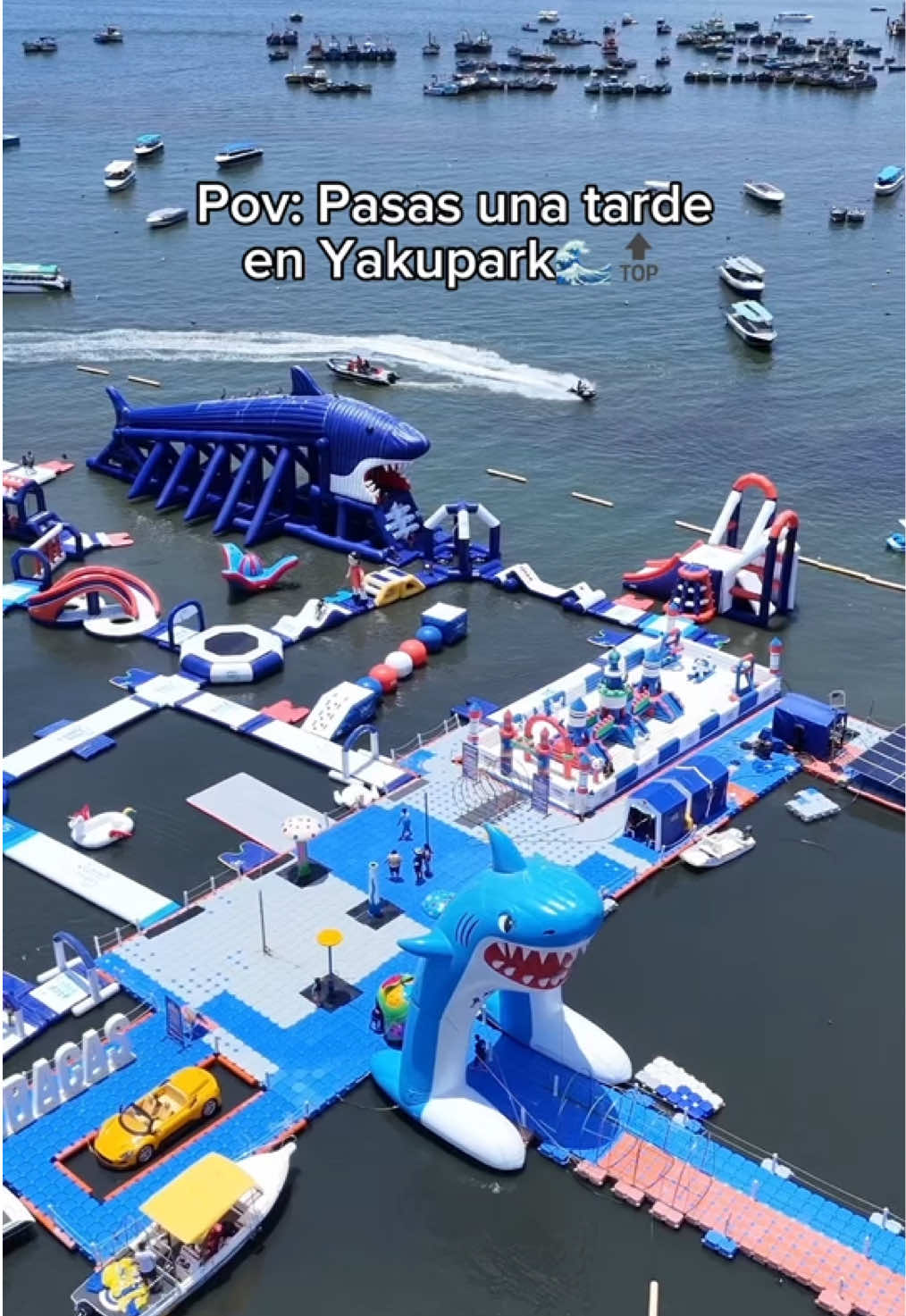 @Yakupark Paracas