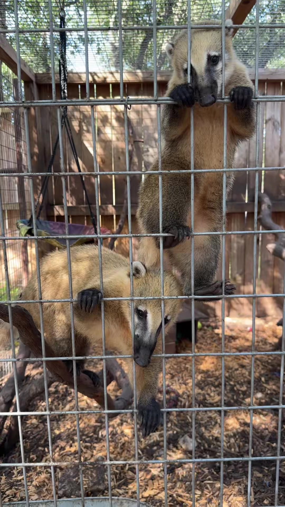 @Texas Wildlife Park