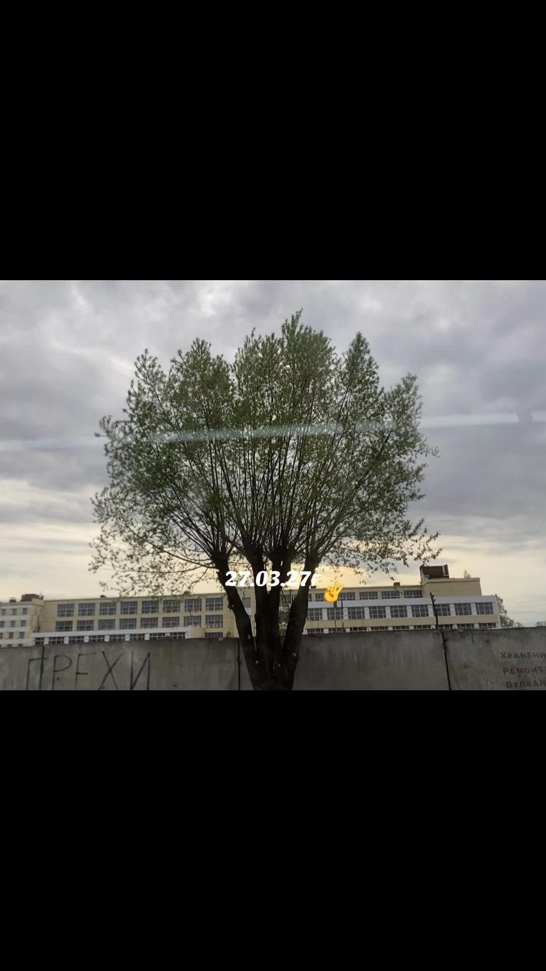 @/слишком искренний человек\