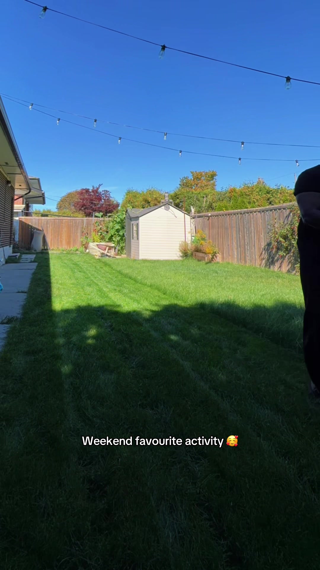 @Andy 🇨🇦