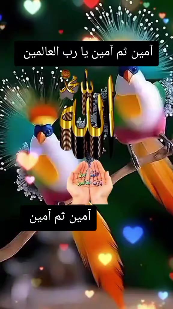 @Mrs Ramzan...🤍