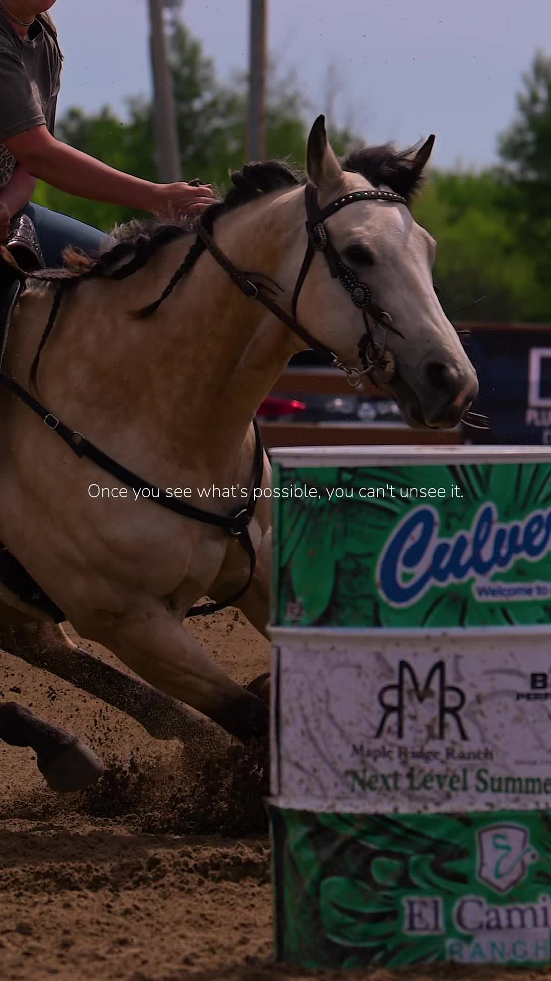 @TaylorLedgerwoodPhotography